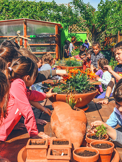 Στιγμιότυπο 1